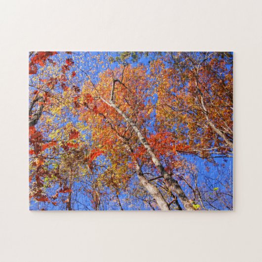 Hot Springs National Park Autumn laat puzzle Legpuzzel (Horizontaal)