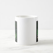 Hot Springs National Park Dead Chief Trail Gifts Koffiemok (Center)