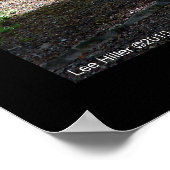 Hot Springs National Park Dead Chief Trail Poster (Hoek)