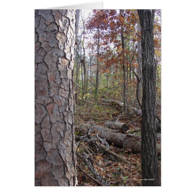 Hot Springs National Park Mt., AR Peak Trail (Voorkant)