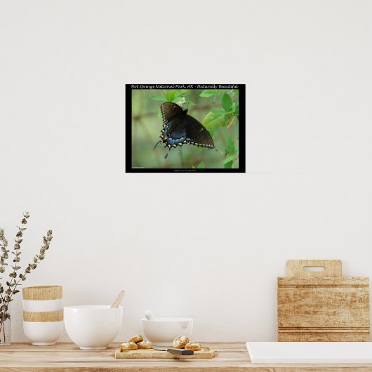 Hot Springs National Park Swallowtail Butterfly Poster (Keuken)