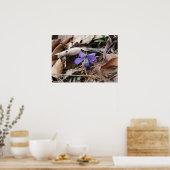 Hot Springs National Park Wildflower door Lee Hill Poster (Keuken)