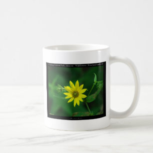 Hot Springs National Park Woodland Sunflower Gifts Koffiemok