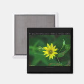 Hot Springs National Park Woodland Sunflower Gifts Magneet (Voorkant / Achterkant)