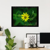 Hot Springs National Park Woodland Sunflower Poster (Thuiskantoor)