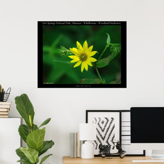 Hot Springs National Park Woodland Sunflower Poster (Thuiskantoor)