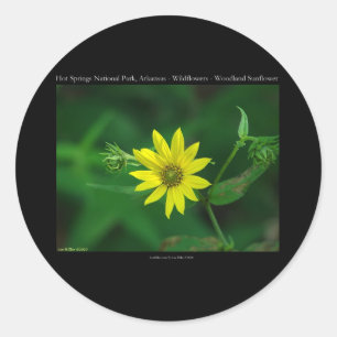 Hot Springs National Park Woodland Zonnebloem Gesc Ronde Sticker