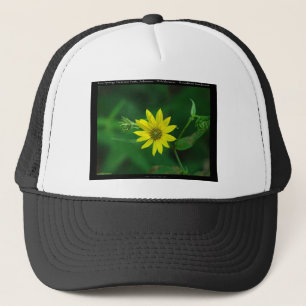Hot Springs National Park Woodland Zonnebloem Gesc Trucker Pet