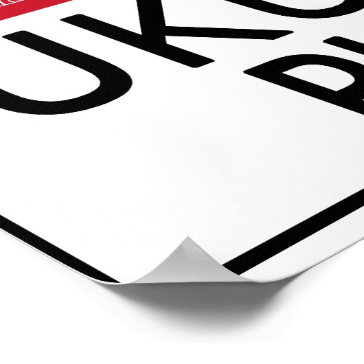 Hot Ukulele Player Poster (Hoek)