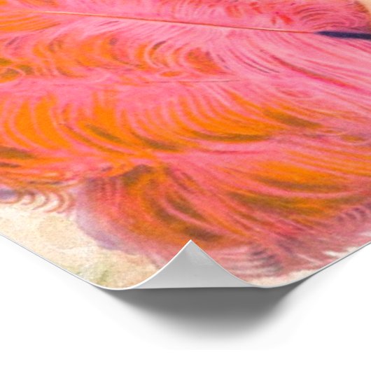  Hotel De France Fouque Elegante Dames Poster (Hoek)