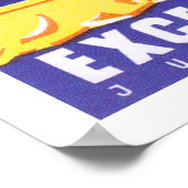 Hotel Excelsior Dubrovnik Poster (Hoek)