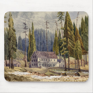 Hotel in de Grove of Mamoth Trees Muismat