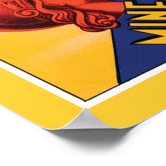 Hotel Minerva Firenze Poster (Hoek)