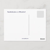 hotel St. Catherine Avalon Briefkaart (Achterkant)