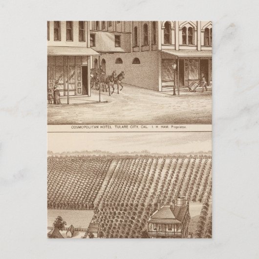 Hotel, wijngaard, Tulare Briefkaart (Voorkant)