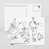 Hotels bij Mingus Park, Coos Bay, Oregon Briefkaart (Voorkant / Achterkant)