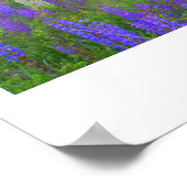 Hotels in de buurt van Lupine Mindscape Poster (Hoek)