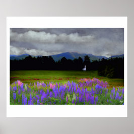 Hotels in de buurt van Lupine Mindscape Poster