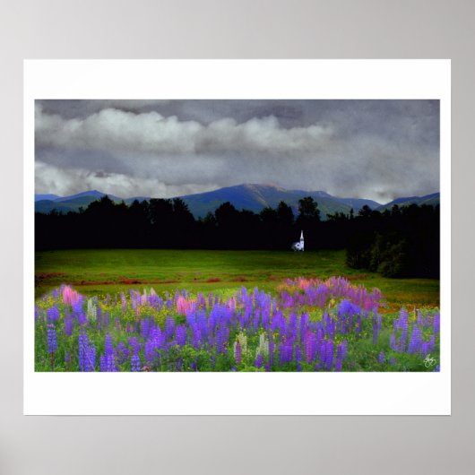 Hotels in de buurt van Lupine Mindscape Poster (Voorkant)