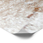 Hotspring in Yellowstone Poster (Hoek)