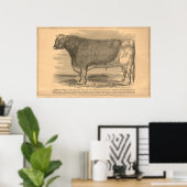 Hotspur, First Prize Bull in Utica, 1863 Poster (Thuiskantoor)