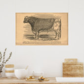 Hotspur, First Prize Bull in Utica, 1863 Poster (Keuken)