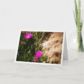 Hottentot Fig Ground Creeping Ice Plant Kaart (Voorkant)