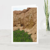 Hottentot Fig, Ice Plant in Canyon Kaart (Voorkant)