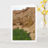 Hottentot Fig, Ice Plant in Canyon Kaart (Gele Bloem)