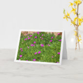 Hottentot Fig, Ice Plant in Canyon Kaart (Gele Bloem)