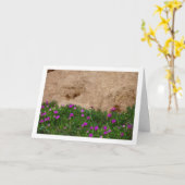 Hottentot Fig, Ice Plant in Canyon Kaart (Gele Bloem)