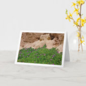 Hottentot Fig, Ice Plant in Canyon Kaart (Gele Bloem)