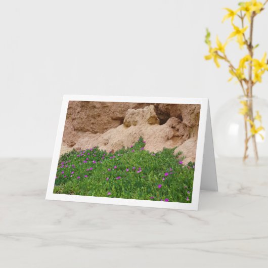 Hottentot Fig, Ice Plant in Canyon Kaart (Gele Bloem)