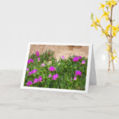 Hottentot Fig, Ice Plant in Canyon Kaart (Gele Bloem)