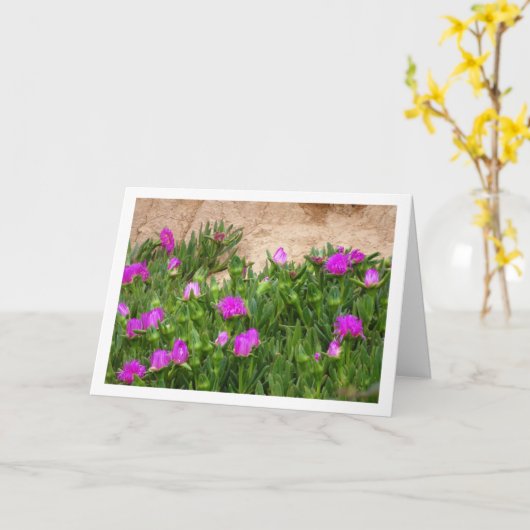 Hottentot Fig, Ice Plant in Canyon Kaart (Gele Bloem)