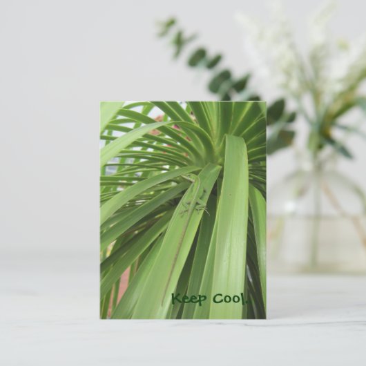 Hou Cool... Briefkaart (Staand voorkant)