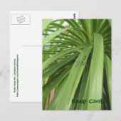 Hou Cool... Briefkaart (Voorkant / Achterkant)