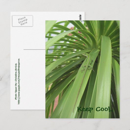 Hou Cool... Briefkaart (Voorkant / Achterkant)