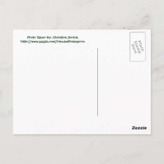 Hou Cool... Briefkaart (Achterkant)