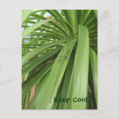 Hou Cool... Briefkaart (Voorkant)