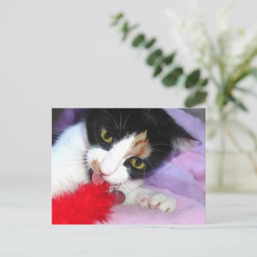 Hou het schoon! briefkaart (Staand voorkant)