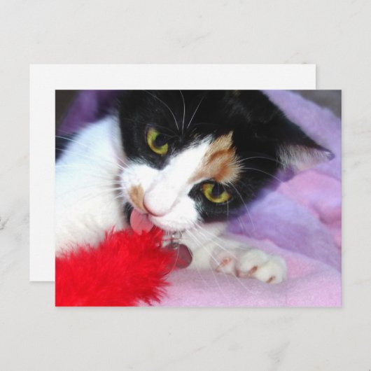 Hou het schoon! briefkaart (Voorkant / Achterkant)