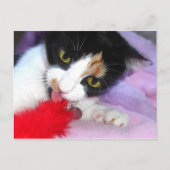 Hou het schoon! briefkaart (Voorkant)