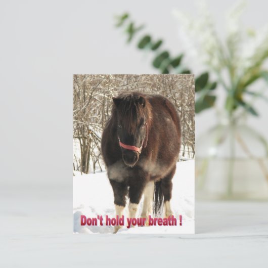 Hou je adem niet in briefkaart (Staand voorkant)