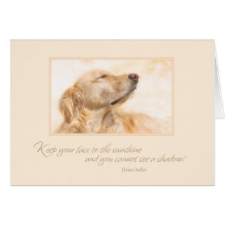 Hou je gezicht naar de zon