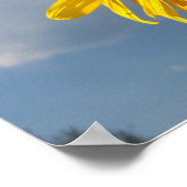 Hou je gezicht tegen de zon en ... poster (Hoek)