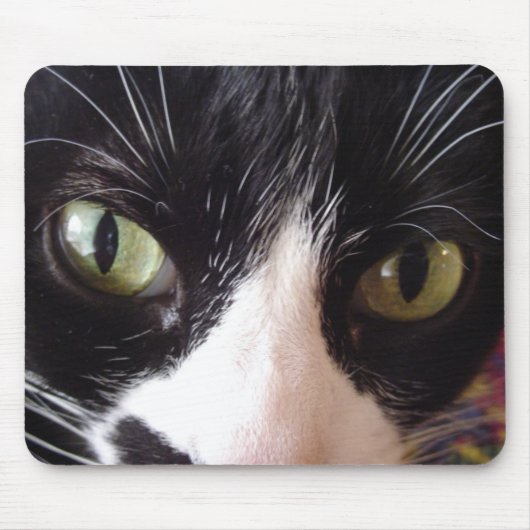 Hou je kat ogen op de muis! muismat (Voorkant)