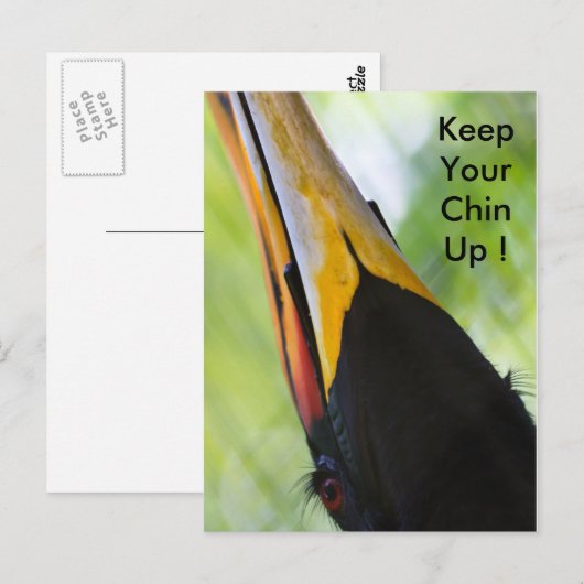 Hou je kin omhoog, briefkaart (Voorkant / Achterkant)