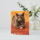 Hou je me voor de gek? briefkaart (Staand voorkant)