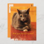 Hou je me voor de gek? briefkaart (Voorkant / Achterkant)